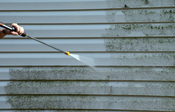 Professional Mold Removal in White House, TN